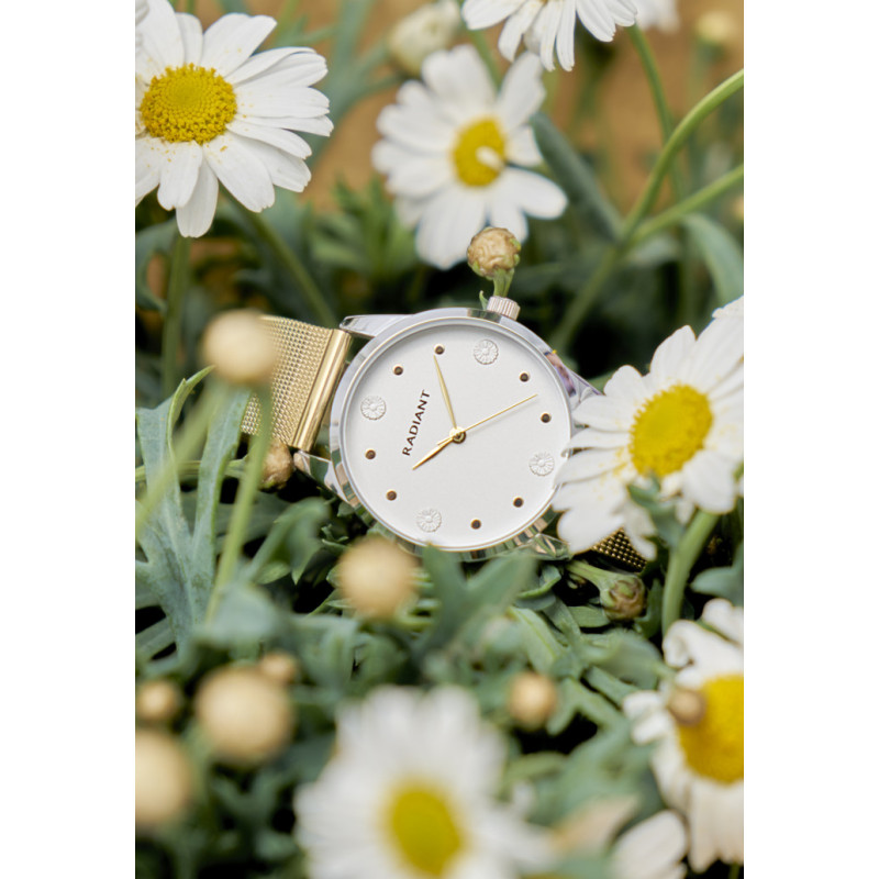 MARGARITAS 36MM WHITE DIAL IPG MESH