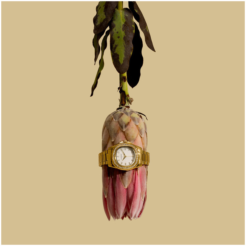 Radiant Scape Reloj de Mujer Dorado Brazalete Acero
