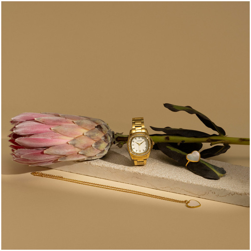 Radiant Scape Reloj de Mujer Dorado Brazalete Acero