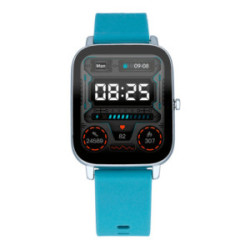 PALM BEACH 43.6MM IPSILVER SILI BLUE