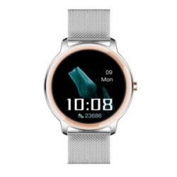 DAKOTA2 42MM IPSILVER SILVER MESH