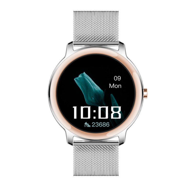 DAKOTA2 42MM IPSILVER SILVER MESH