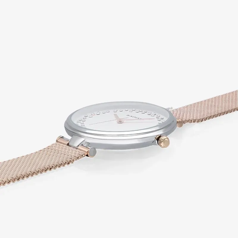 THE CIRCLE 36MM SILVER DIAL IPRG MESH