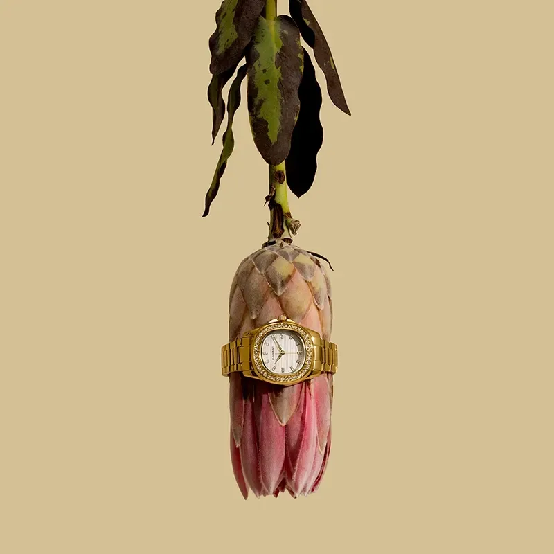 Radiant Scape Reloj de Mujer Dorado Brazalete Acero